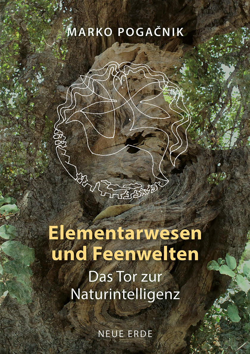 Buchcover Elementarwesen und Feenwelten Buchcover Elementarwesen und Feenwelten