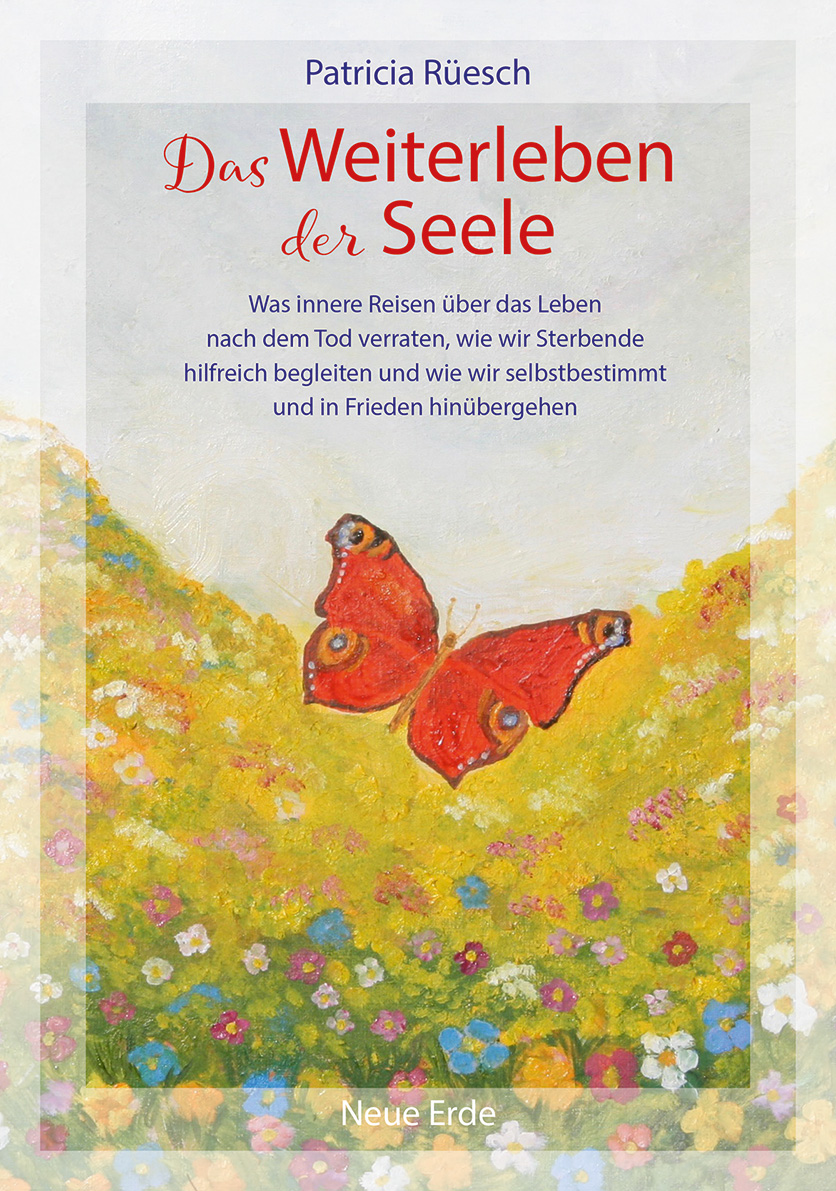 Buchcover Das Weiterleben der Seele Buchcover Das Weiterleben der Seele