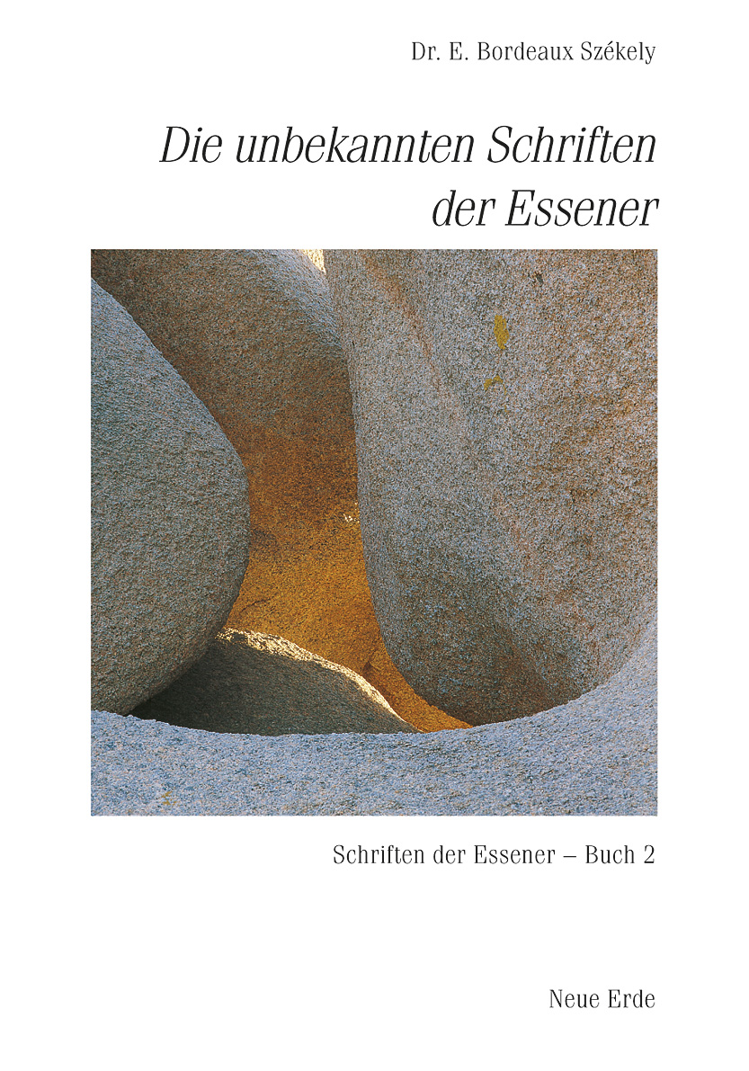 Buchcover Essener Band 2 Buchcover Essener Band 2